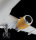 ZVEZDA Zivilflugzeug AIRBUS A321 CEO Passagierflugzeug Modellbausatz 1/144